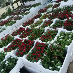 0659 الجزيرة للمظلات والسواتر | تنسيق حدائق